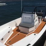 Fusion 19 mit dunklem Teak marine Matte